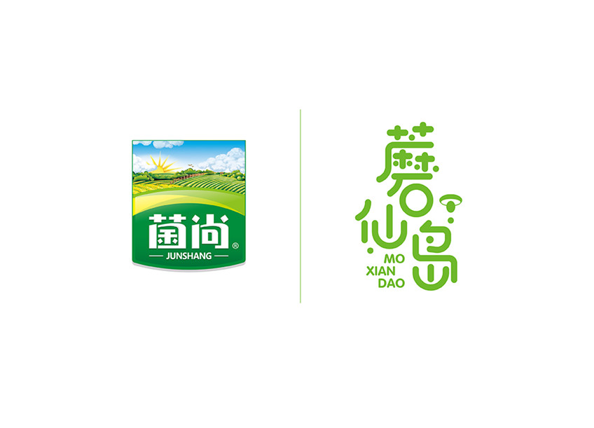 包裝設(shè)計_包裝設(shè)計化妝品包裝茶葉包裝粽子包裝零食食品包裝電商特產(chǎn)包裝11
