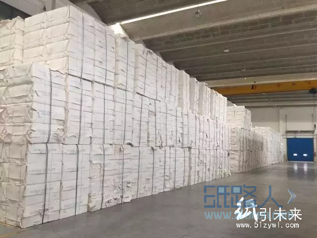 仙鶴造紙廠為何會躺著也中槍？