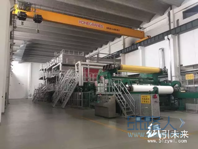 仙鶴造紙廠為何會躺著也中槍？