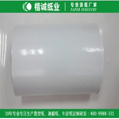 卷筒化工淋膜紙 楷誠(chéng)工業(yè)淋膜紙廠家